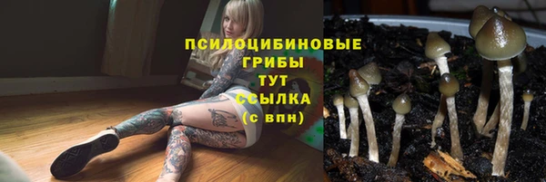 каннабис Приозерск