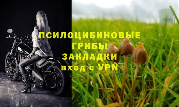 стафф Пролетарск